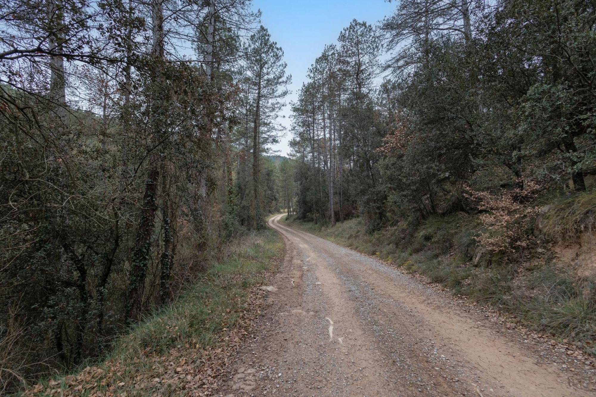 Affittacamere Casa Subiraneta Puig-reig Esterno foto