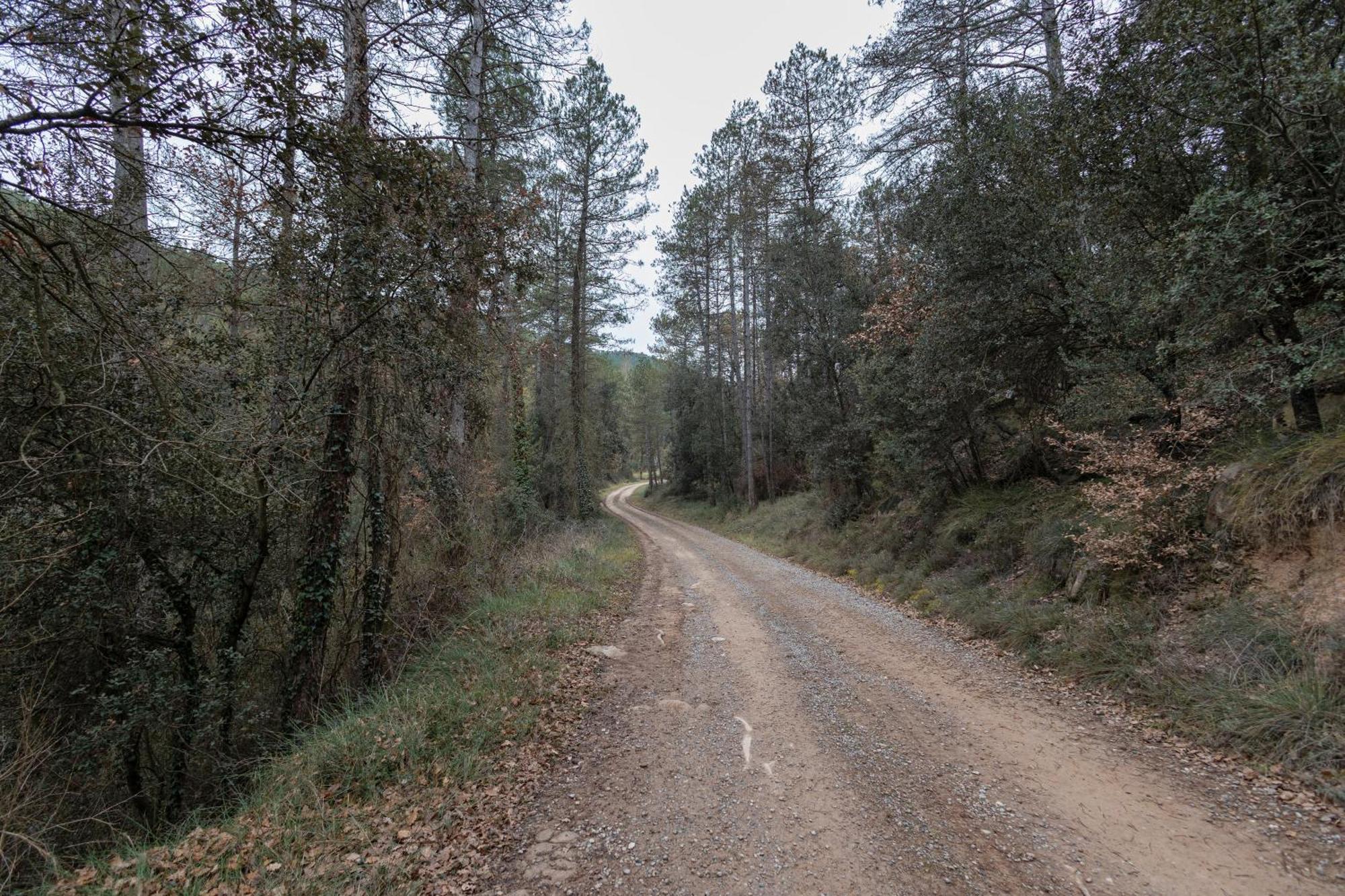 Affittacamere Casa Subiraneta Puig-reig Esterno foto